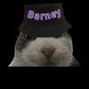 barneyplz