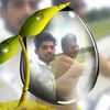 user265220164