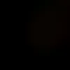 user21981140
