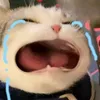 pumeowthui