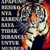 f4is4ljaya