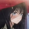 the_dvn