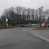 talahondercoole