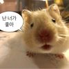 hyuny680