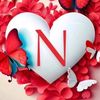 nora11544