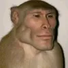 lithermyrkr