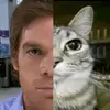 sikosiaofksk