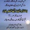 syed75046
