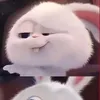 janliang7824