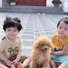 hangnguyen085