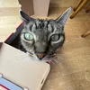 mynameismattb