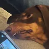 claudsgc