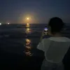 ava.zhou_