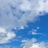 skyflower_1410