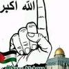 user617051162785183