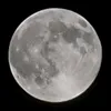 beciracz1