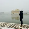 gurpinderaulakh59