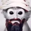 jrbjimbobbowden