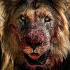 waleedabdel.maged