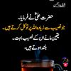 user49700221