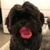 stefano_726
