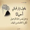 bariq_36