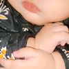 aliafateh1