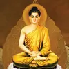 daotrongtam1