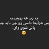 user799085123