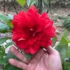 hieuok98kk
