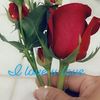 jeanrodriguez73