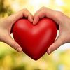 jamshedkhan220