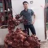 chipcoi52