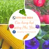 hat_giong_phu_yen_gia_re