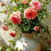 باشاالباشا�������