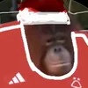 robinstanleydivall
