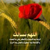 0504waleed