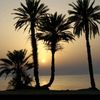 useronzolsp9qf