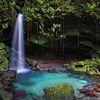 dominica.nature.is