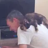oldbloke