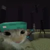 hdha.dz