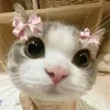sarahbln00