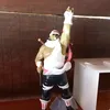 weirogihono