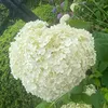 kotona5789