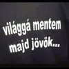reninavratil