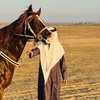 أُسامه الحَاتم الجواري🇮🇶