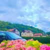 mura0537244