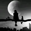 shadowwife1