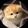 huynchang00