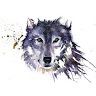 thedarkwolf867